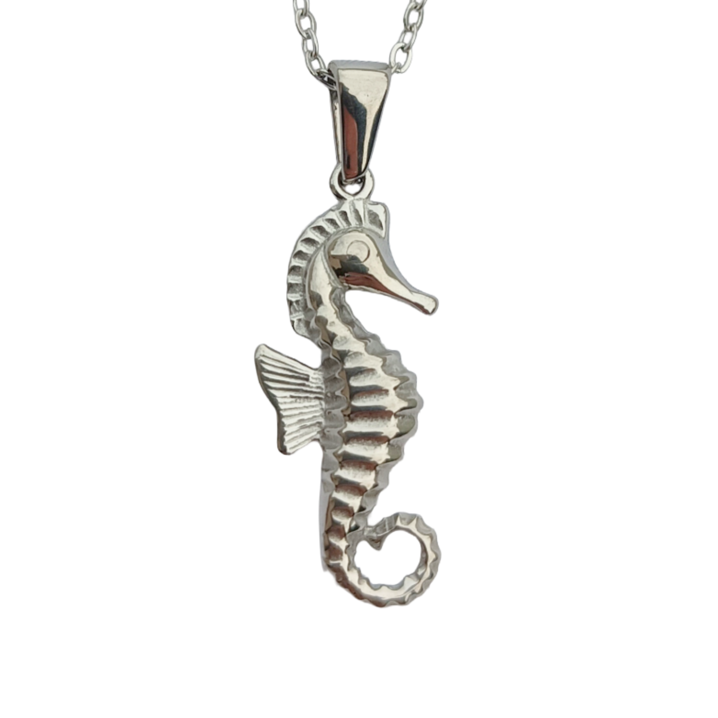 Collar Caballito de Mar ─ Acero quirúrgico