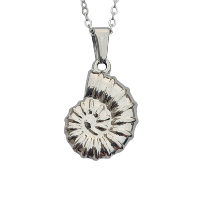 Collar Concha Marina ─ Acero quirúrgico