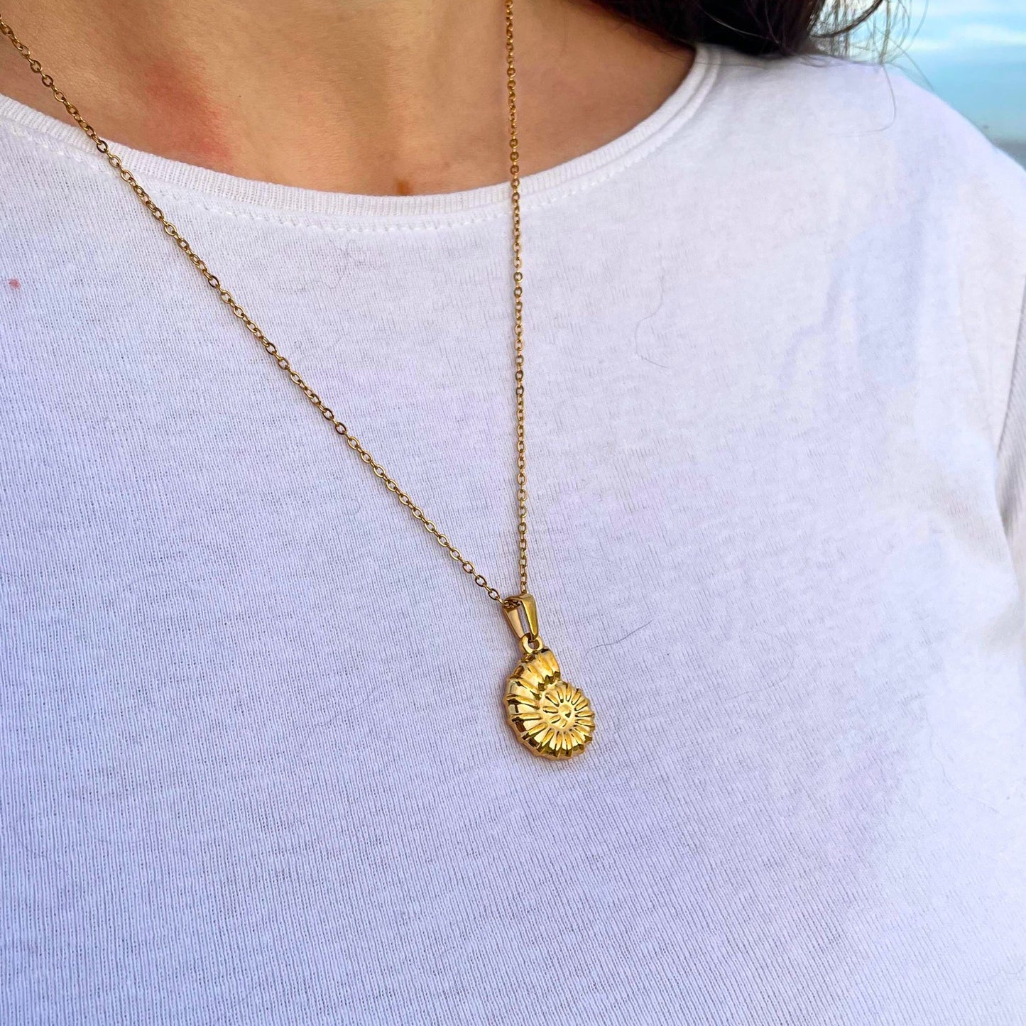 Collar Concha Marina ─ Chapado en oro