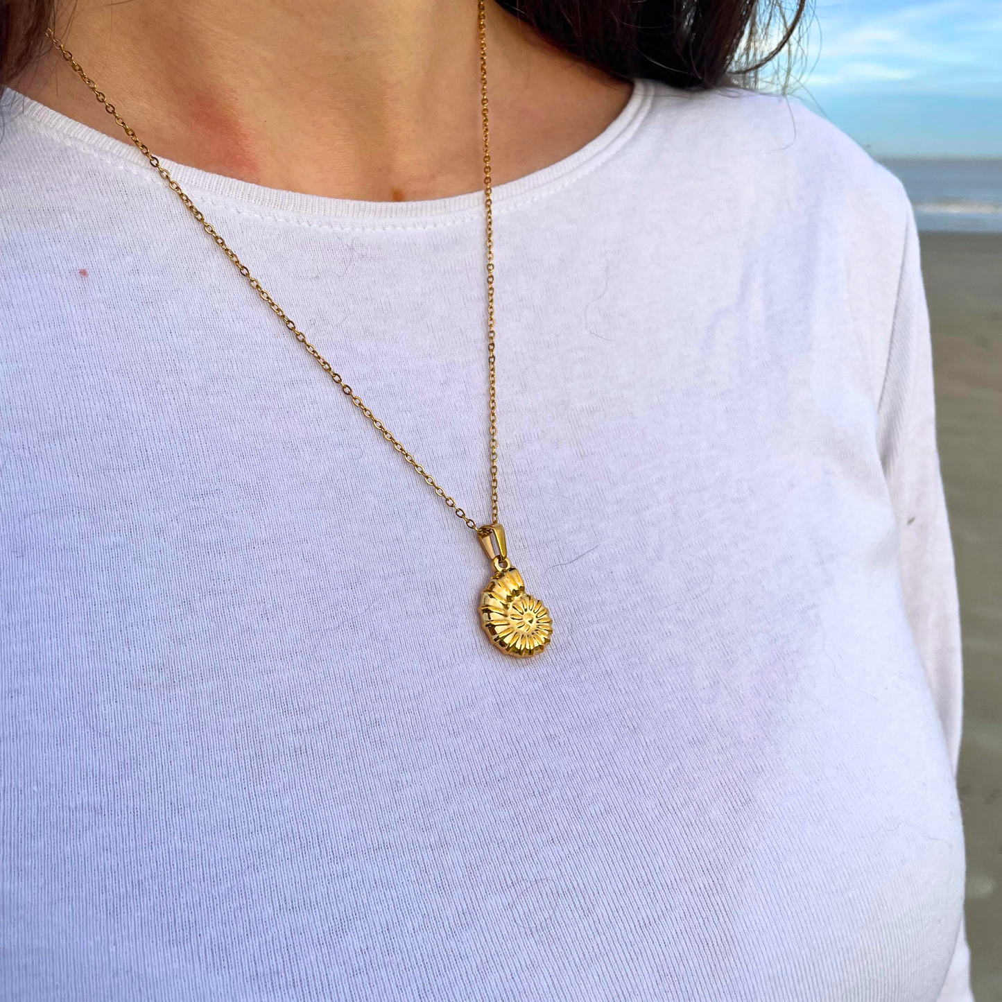Collar Concha Marina ─ Chapado en oro