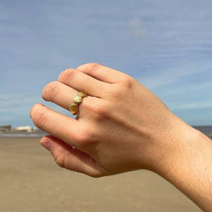Anillo Concha De Mar