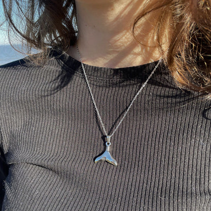Collar Cola de Ballena — Acero quirúrgico