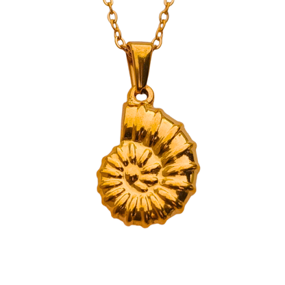Collar Concha Marina ─ Chapado en oro
