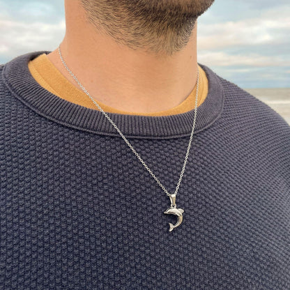 Collar Delfín — Acero quirúrgico